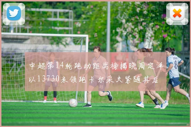 中超第14轮跑动距离榜揭晓周定洋以13730米领跑卡尔采夫紧随其后